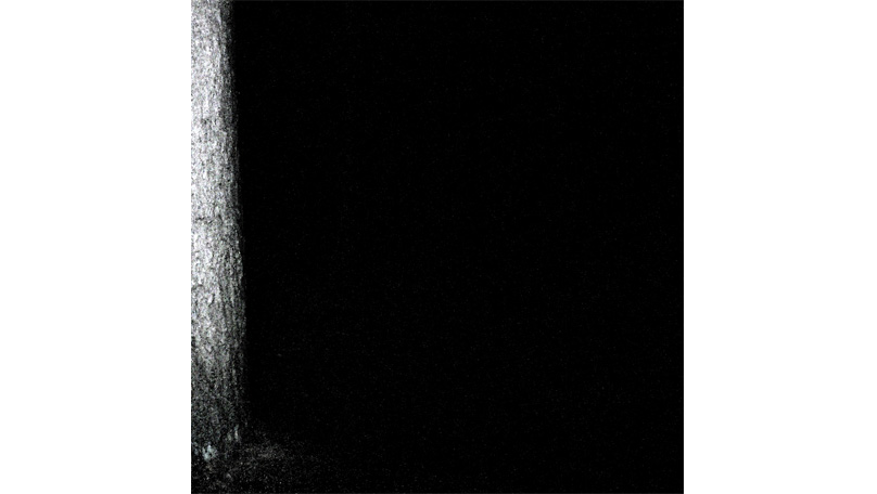 Der Wald Der Wald [&copy; Robert Berghoff]