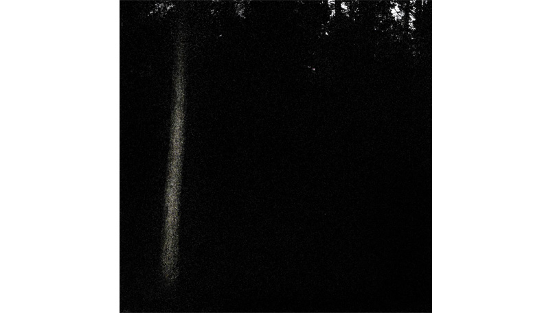 Der Wald Der Wald [&copy; Robert Berghoff]