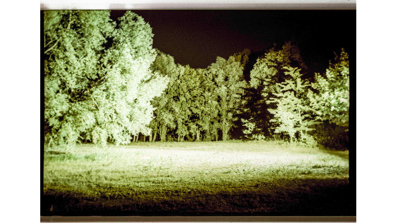 Der Wald Der Wald [&copy; Robert Berghoff]
