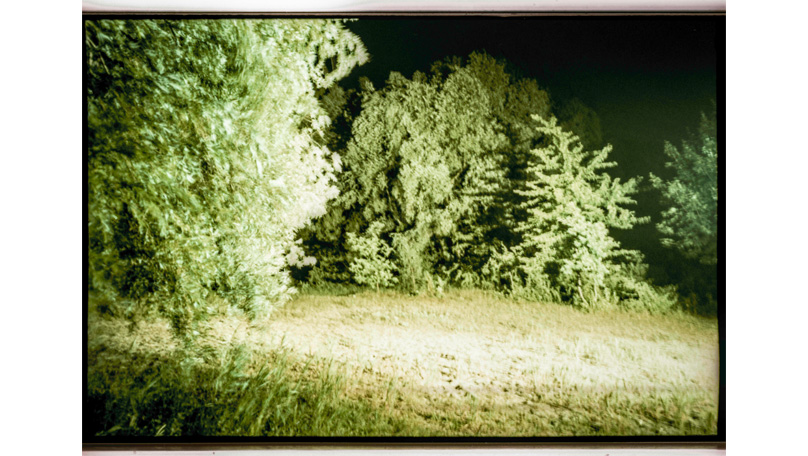 Der Wald Der Wald [&copy; Robert Berghoff]