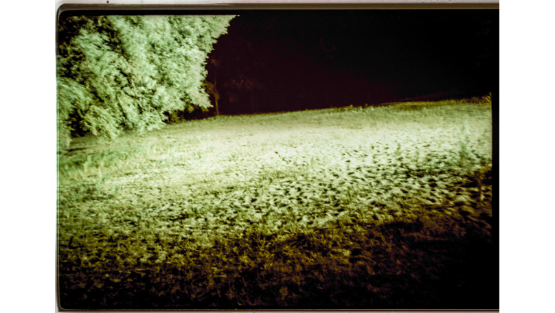 Der Wald Der Wald [&copy; Robert Berghoff]