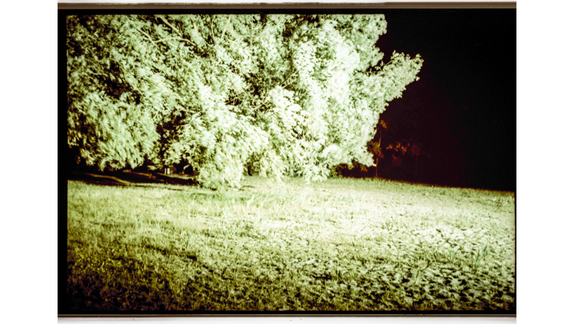 Der Wald Der Wald [&copy; Robert Berghoff]