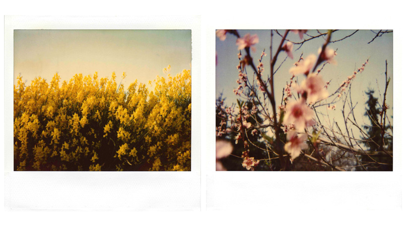 Polaroids [&copy; Robert Berghoff]