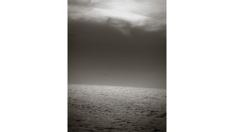 Fine Art [&copy; Robert Berghoff]